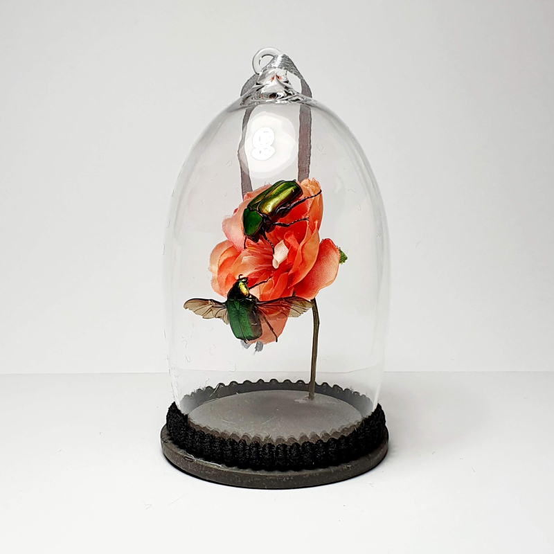 Natuur Historische Decoratie. Twee Rozenkevers op bloem 